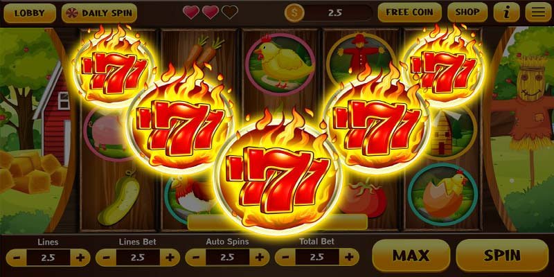 213 bet