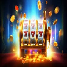 213 bet