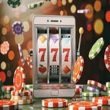 213 bet